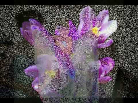 In Loving Memory of Manuela Sandate.mpg