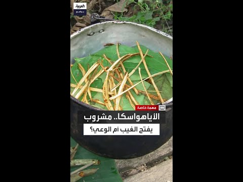 الأياهواسكا المشروب الغامض بين الهلوسة وفتح الغيب في معابد سانتو داي بالبرازيل