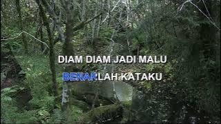 SIA SIA By D'LLOYD Indonesian Malay Karaoke