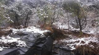 20170303_085724.mp4