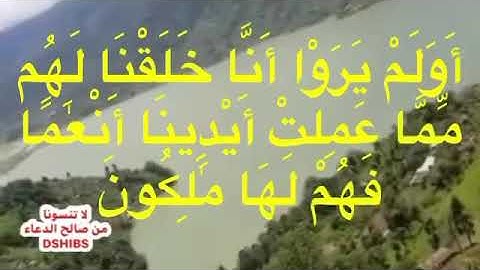 الشيخ جاسم المال التميمي - سورة يٰس