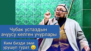 картинка: Чубак устаздын ачуусу келген учурлары ( эми бизди ким урушуп турат 😔)