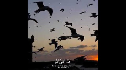 اجمل واروع تلاوة القرآن بصوت اسلام صبحي💙❣حالات واتس اب قرآن تلاوة خاشعة❣💙حالات واتس اب دينية