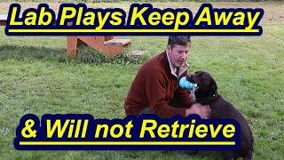Lab plays keep away rather than retrieve. by My Dog Training Spot 6,307 views 3 years ago 8 minutes, 57 seconds