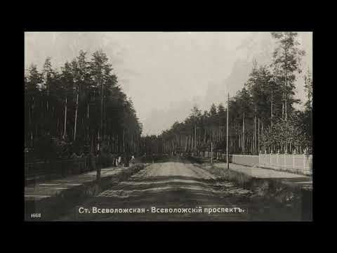 Всеволожск / Vsevolozhsk: