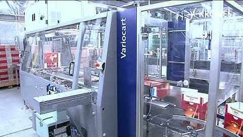 Professionals for handling cartons