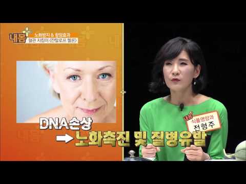 칸탈로프 멜론의 효능을 알아보자! [내 몸 사용설명서 플러스] 5회 20160508