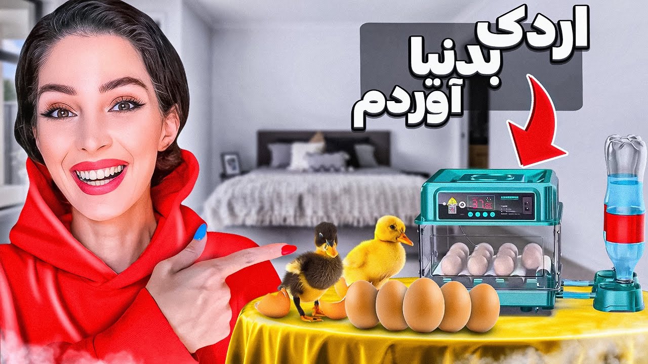 صفر تا صد به دنیا اومدن جوجه اردکا🐣نمک ترین موجود دنیا❤️