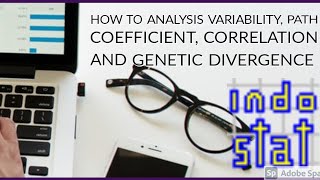 How to analysis variability, path coefficient, correlation and diversity through INDOSTAT ? screenshot 5