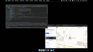 13. Nominatim Reverse API