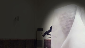 ماتيسر من سورة إبراهيم - من صلاة العشاء