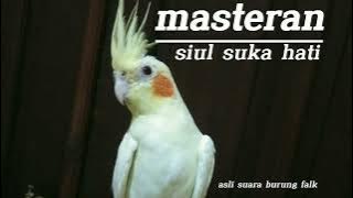 MASTERAN BURUNG FALK SIUL SUKA HATI