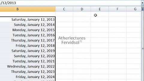 Lecture No:4 Picture Format Ms Excel 2007 Training in Urdu