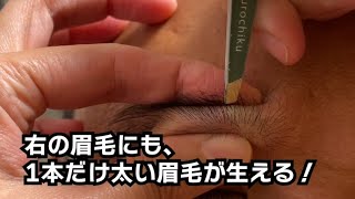 右眉毛にも1本だけ生える太い眉毛を毛抜きで抜く！