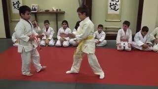 Aikido Training Center children' s class demonstration