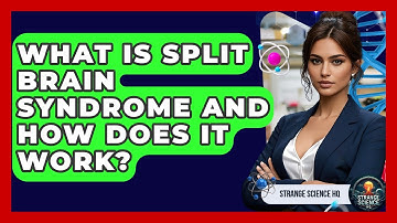 What Is Split Brain Syndrome And How Does It Work? - Strange Science HQ
