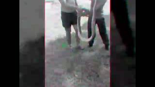 Gurkha Soldier Vs Asian Python