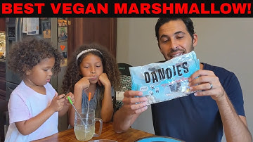 BEST VEGAN MINI MARSHMALLOW! Dandies Vegan Marshmallow review