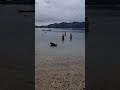 Matariki Swim Matariki Swim