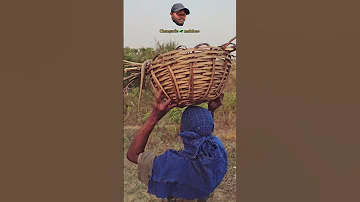 BIBI KABEBA NYOKA KWENYE KAPU Shortvideo Funyvideo Snake Vichekesho 