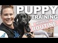 5 Puppy Training WINS You Should Get EVERY Morning!