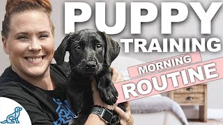 5 Puppy Training WINS You Should Get EVERY Morning!