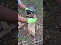 Khukuri House Balace Special Batoning
