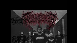 PEELING FLESH X EXTERMINATION DISMEMBERMENT TYPE BEAT