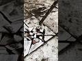 This floor sounded hollow – so I tested it.. #UrbexUSA #AbandonedHouse #Urban #SatisfyingDestruction