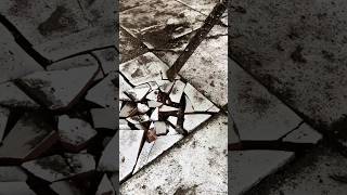 This floor sounded hollow – so I tested it.. #UrbexUSA #AbandonedHouse #Urban #SatisfyingDestruction