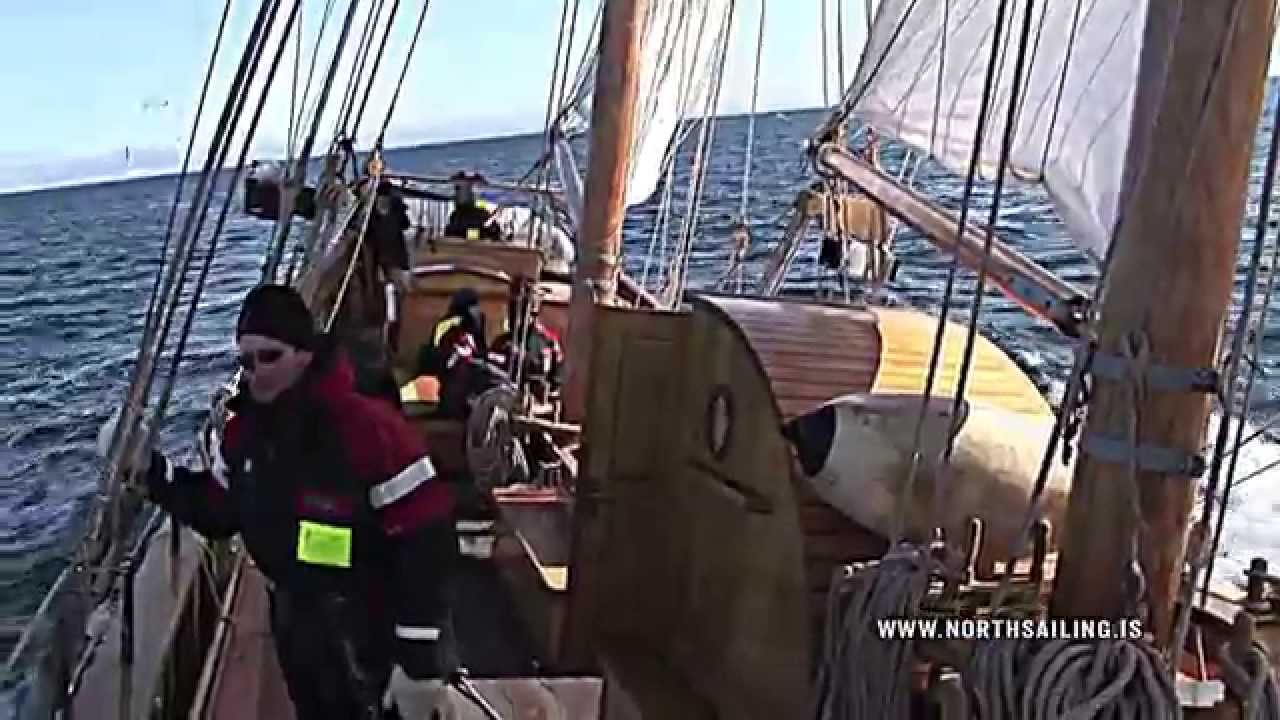 Edge of the Arctic Whale Watching Expedition