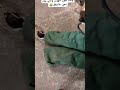 وقت تكون سهران و تاني يوم تيجي عالشغل 😂😂😂😂😂😂😂😂😂😂😂😂😂😂😂😂😂😂😂👌🏻