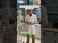 Evolution for Leaving Cert Biology #biology #leavingcert #leavingcertbiology #gilleducation