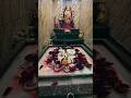 अंबे तू है जगदंबे काली#vaishnomaakapyara #vaishno #durga #devotional #shortsfeed #bhaktisong #bhajan