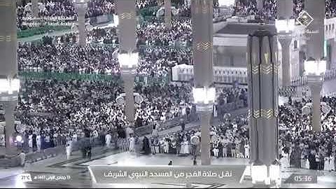 صلاة الفجر للشيخ محمد برهجي من المسجد النبوي الشريف 19 جمادى الأولى 1447 خواتيم سورة القصص
