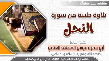 الشيخ الفاضل أبي حمزة عيسى المصنف تلاوة من سورة النحل