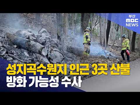 성지곡수원지 인근 3곳서 산불...방화 추정 (2026-02-20,금/뉴스데스크/부산MBC)