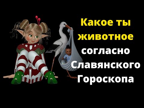 Какое ты животное согласно Славянского Гороскопа