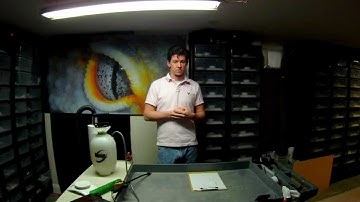 Before You Start Breeding Leopard Geckos.