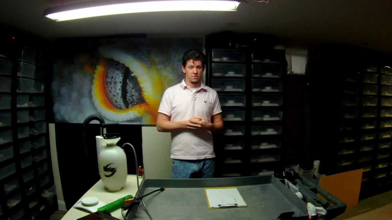 video phone beyonce mp3 Before You Start Breeding Leopard Geckos.