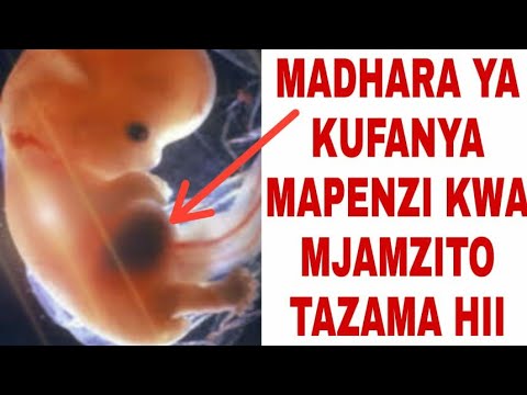 Video: Kwa nini nguo ni muhimu sana?