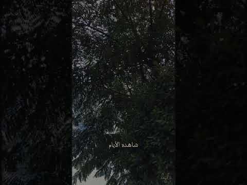 وفي بالي كلام بدون موسيقى