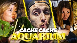 UN CACHE CACHE QUE JE NE VOUS AI PAS MONTRÉ (La partie est folle)