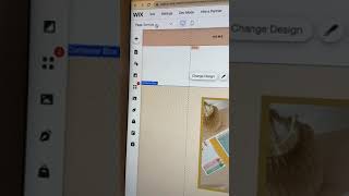 Wix template builder demo 🧐