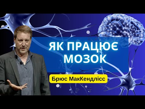 Видео: Основи нейронауки - Брюс МакКендлісс