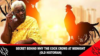 Secret Behind Why The Cock Crows At Midnight Old Historian