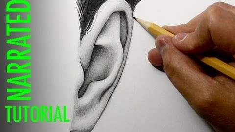 How to Draw Ears [Front View]