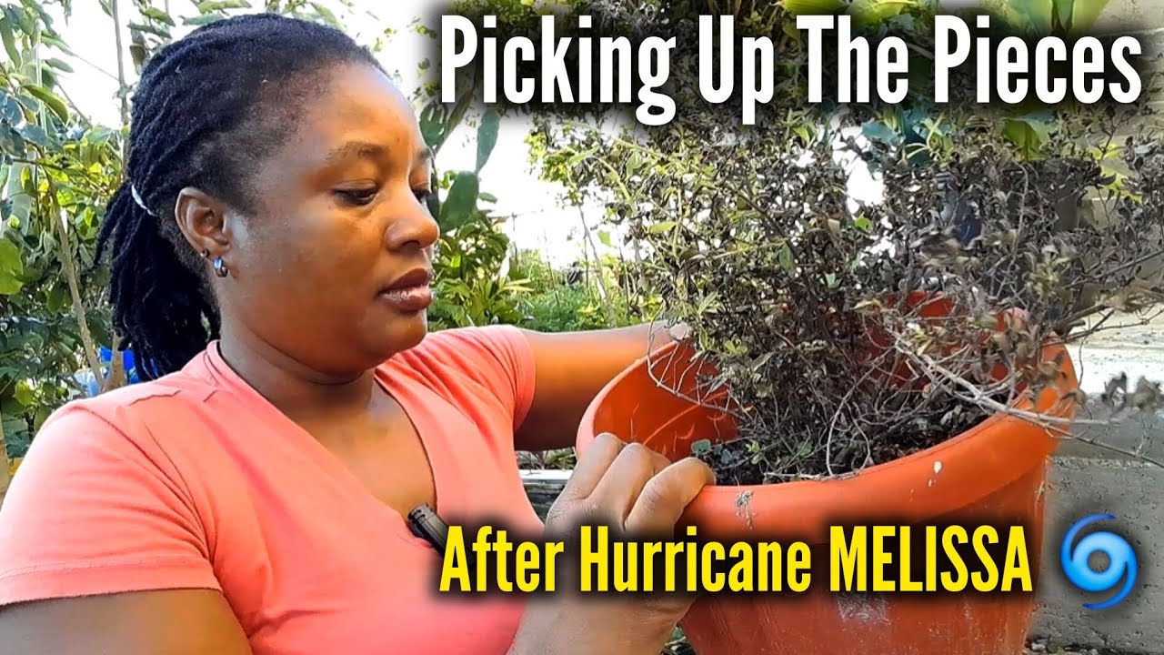 Picking Up The Pieces After Hurricane MELISSA 🌀 Devastate JAMAICA 🇯🇲 ...
