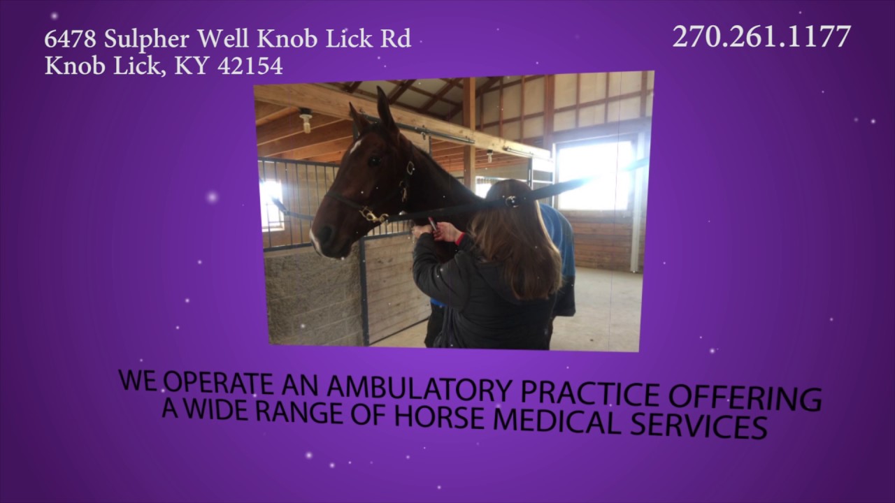 Large Animal Veterinarian in Kentucky Southern Equine Veterinary