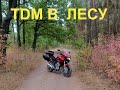 🏍 На TDM 850 по лесу 🏍
